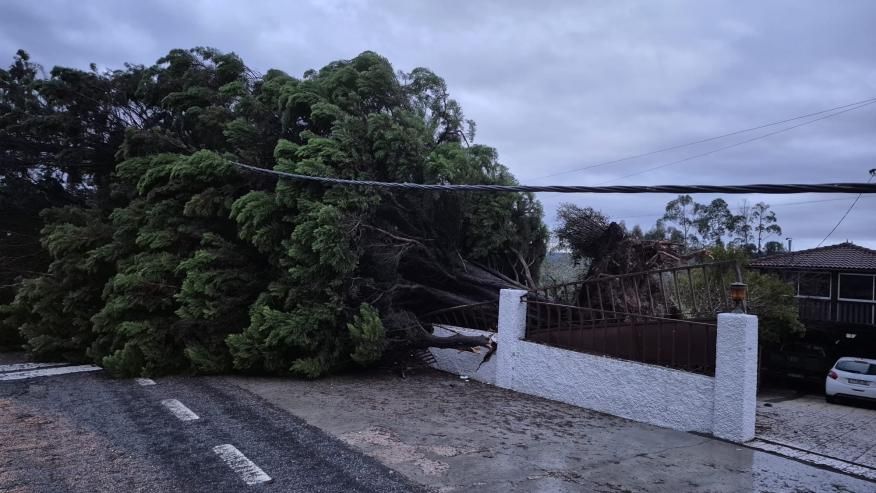 Informa&ccedil;&atilde;o &agrave; Popula&ccedil;&atilde;o: Trabalhos de Recupera&ccedil;&atilde;o e Levantamento de Estragos