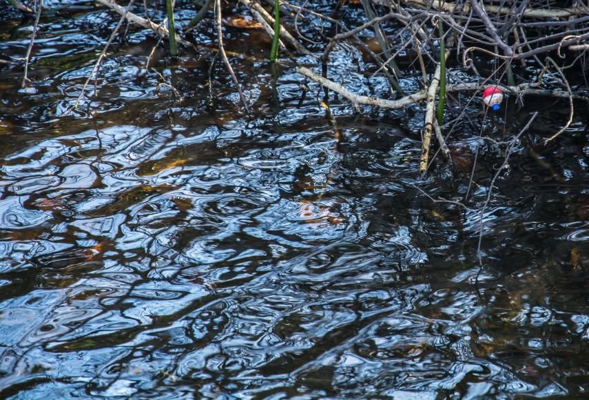 Apoio &agrave; Popula&ccedil;&atilde;o: Resposta &agrave;s Inunda&ccedil;&otilde;es (Depress&atilde;o Kristin)