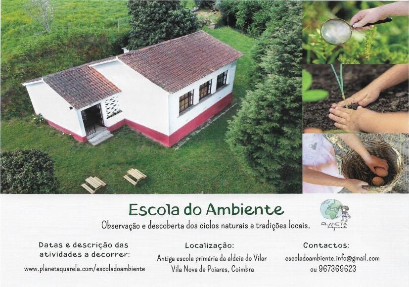 Conheça a Escola do Ambiente