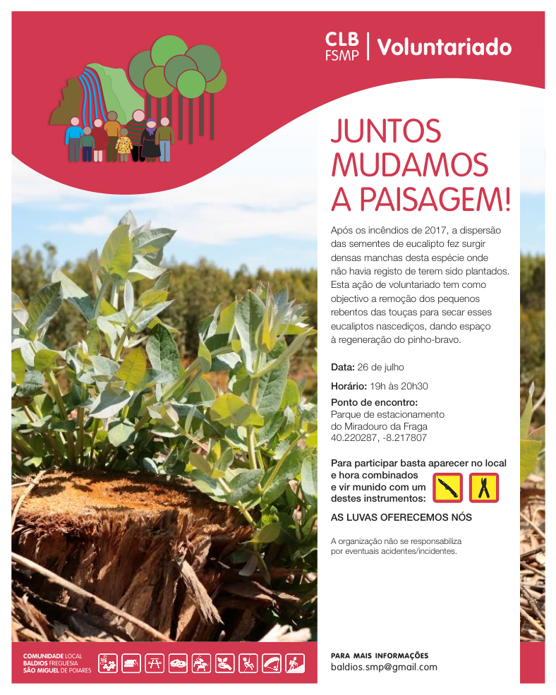 2ª sessão de "Juntos mudamos a paisagem!" - CLBSMP